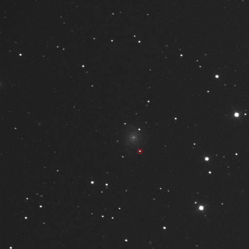 Supernova SN2007co 20.06.2007.jpg