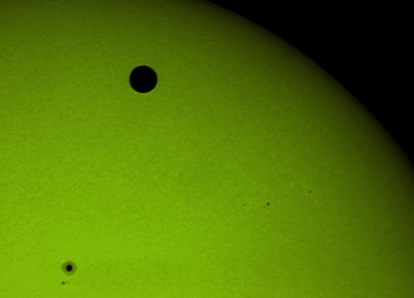 Wenus na tle słońca.jpg