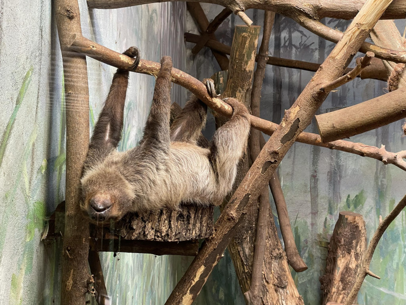 zoo2.jpg